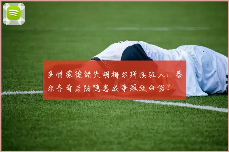 多特蒙德错失胡梅尔斯接班人,泰尔齐奇后防隐患成争冠致命伤?
