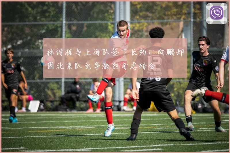 林诗栋与上海队签下长约，向鹏却因北京队竞争激烈考虑转会